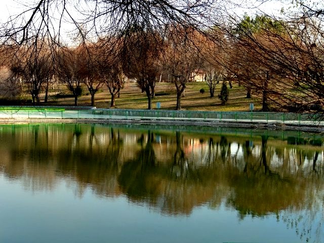 پارک بعثت تهران - اجاره خودرو - اجاره ماشین